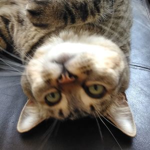 Meet your Posher, Naomi